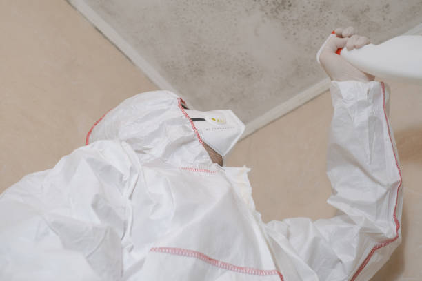 Best Mold Cleaning Services  in Portola Valley, CA