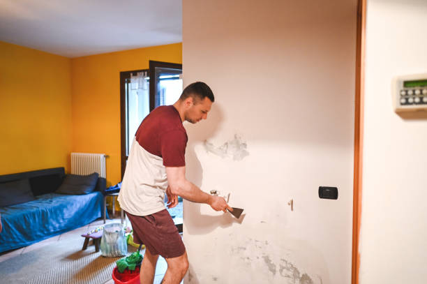 Best Emergency Mold Removal  in Portola Valley, CA