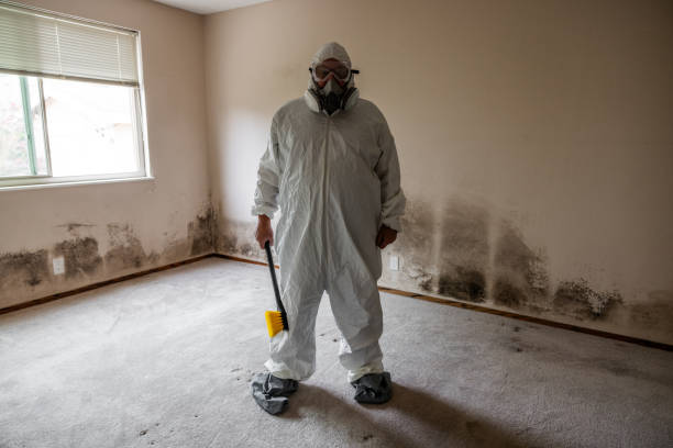Best Home Mold Removal  in Portola Valley, CA
