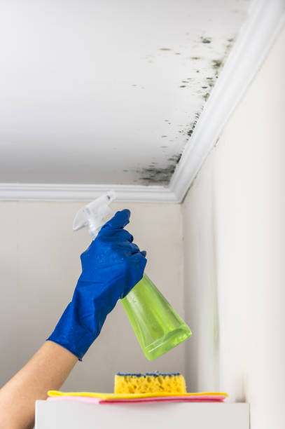 Best Mold Testing  in Portola Valley, CA